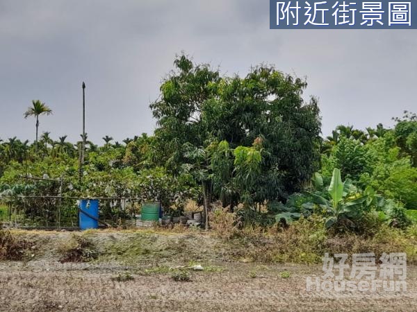 💥潮州四春3.1農地環境清幽有水電大面積好運用