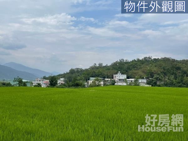 17F富里東竹村莊臨旁5米路低總價山坡地(D)