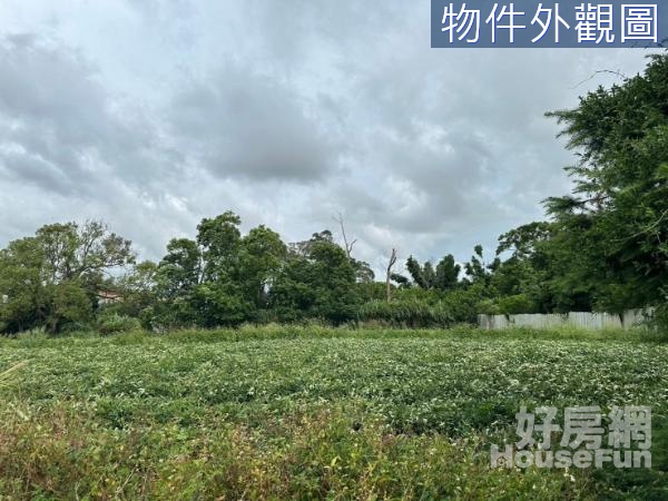 🌿🌿台中航空城清水海風段漂亮美農地🌿🌿