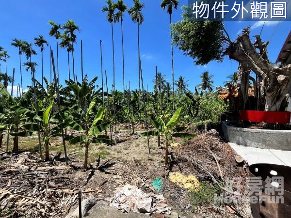 🍎高雄旗山方正美農地🌈持分2/3🌈