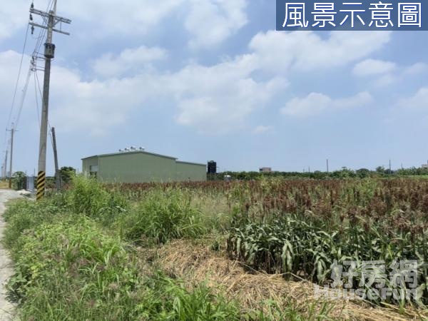 麻豆莊禮路邊2.5分方正農地