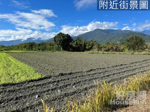 光復大平足坪農地 10F134