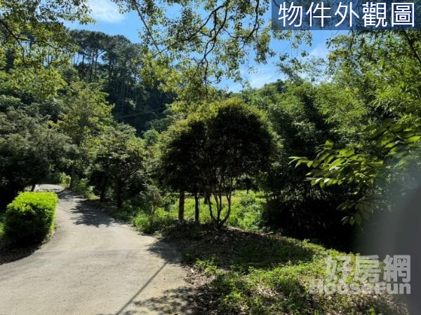 新埔內立段自然碳匯計畫林地/農地+丙建