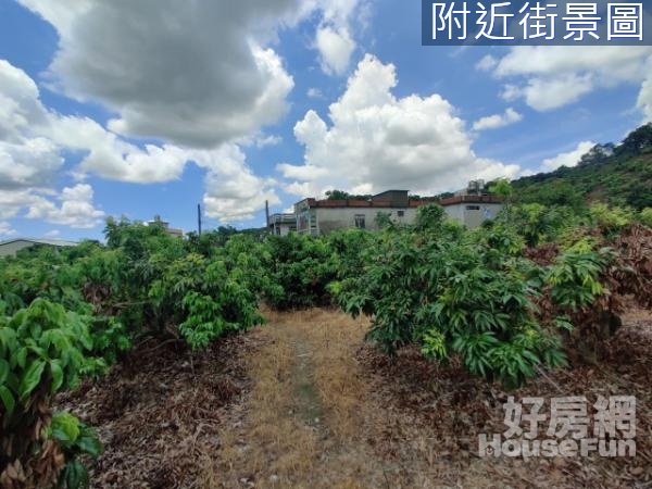 大樹和山活動中心旁超大置產超優農地