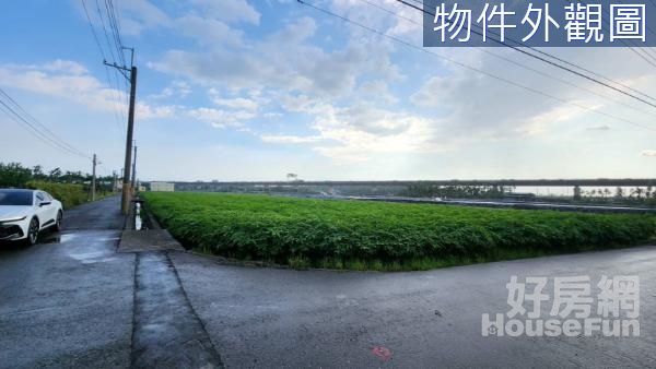 潮州崁頂雙面臨路19米面寬免填土方正農地