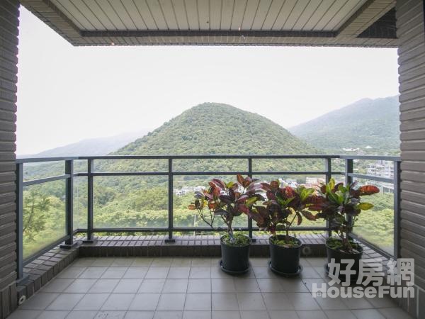 陽明帝景面山景