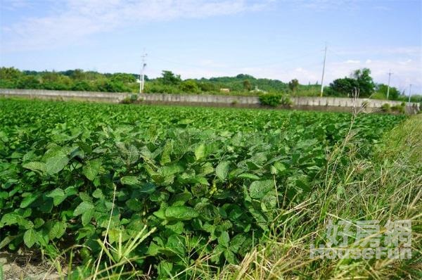 後龍苦苓腳農地C0149-住商頭份中央店