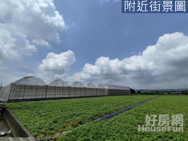 CT烏日區臨五米路大面寬方正美農地