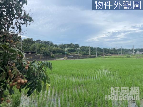 茄苳交流道旁/大坪數農地-開闊美景