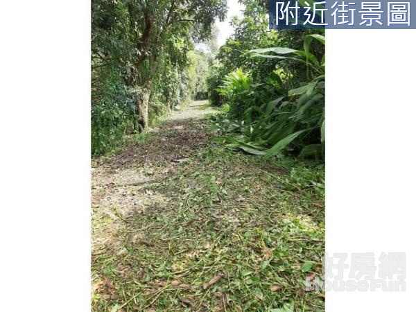 嘉義住商一銀 社口漂亮美地 低總價 土地大