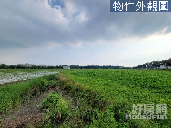 新營天鵝湖旁正馬路邊持分農地