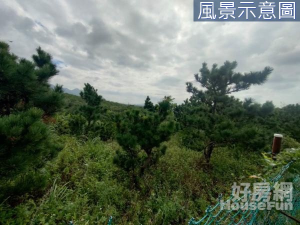 三芝龍翔九天風水寶地休閒農牧用地B