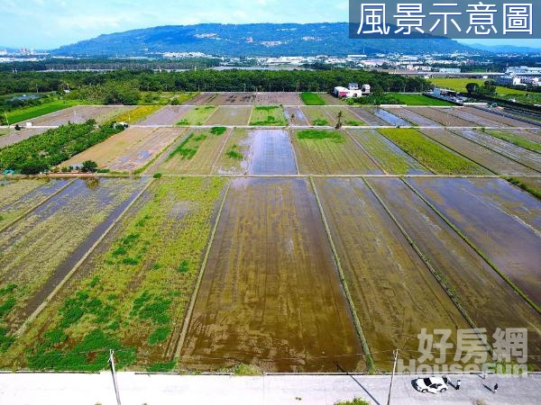 阿蓮近大崗山#休閒農保農地