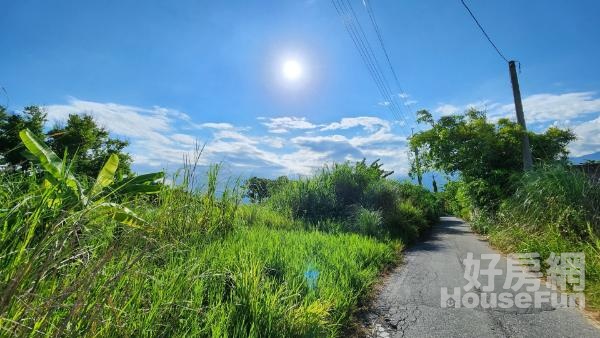 專任吉安海濱雙面路美農地14F258