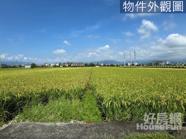 宜蘭縣政高鐵特區都計內農地