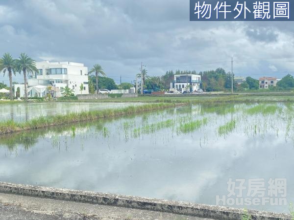 三星新日興環境優美配建農地B