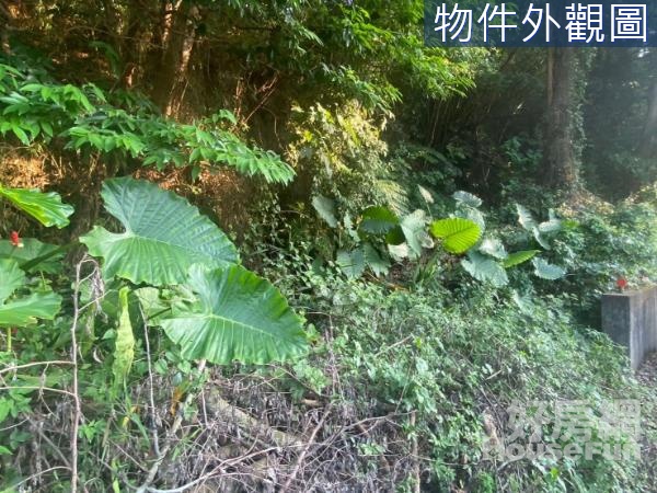 新竹縣芎林文華街竹21線旁美地