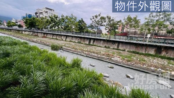 🌴【黃昏市場七腳川溪＆難得釋出原保健地】