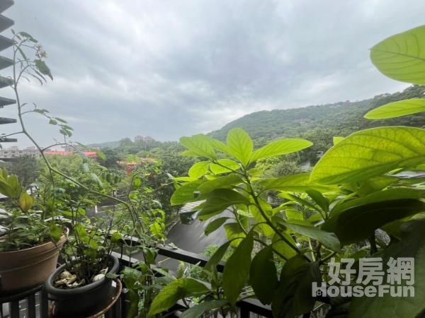 301吉峻星宇稀有釋出電梯2+1小資首選