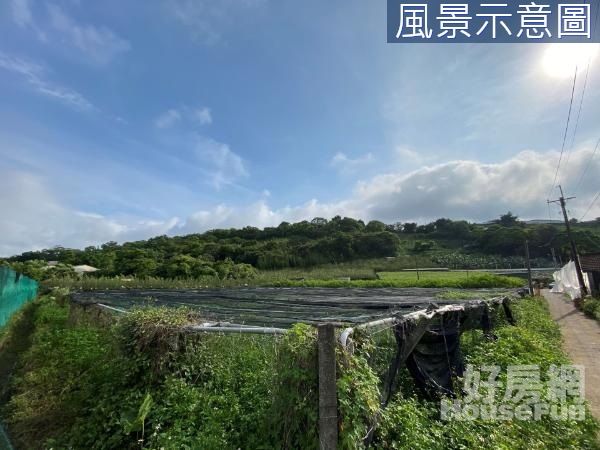 🌱降價~石岡區仙塘坪30米面寬方正農牧用地