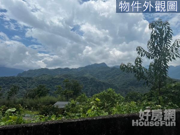  專任復興東眼山．霞雲段溪旁原保地