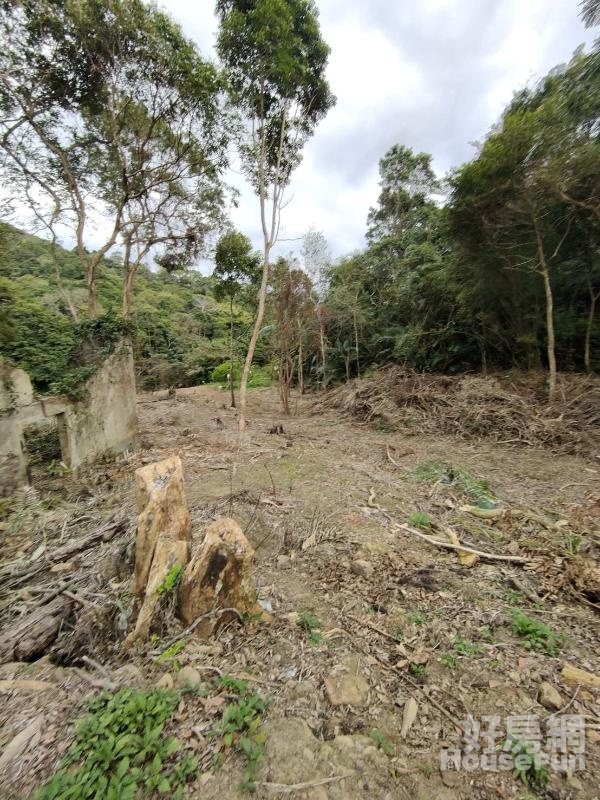 絕無僅有傳家竹東國中旁千坪建地+6萬坪農地