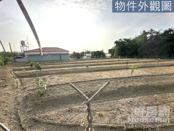 土廠007-燕巢6米路方正漂亮農地🐓