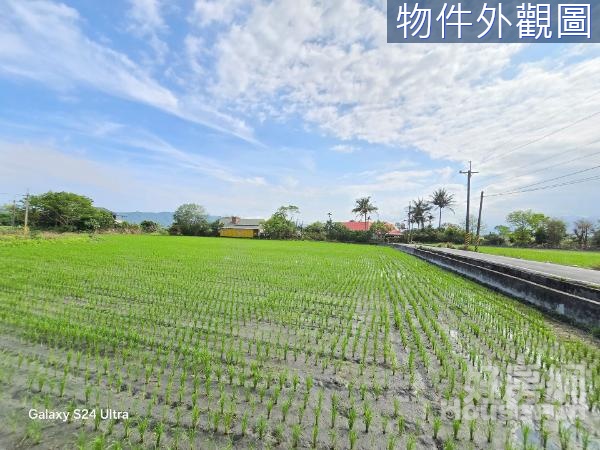 🌿吉安鄉全民雙面臨路美景農地🌿