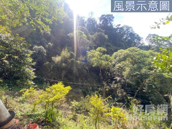 EA2017 獅潭蓮台山林地~住商樹林中正加盟店