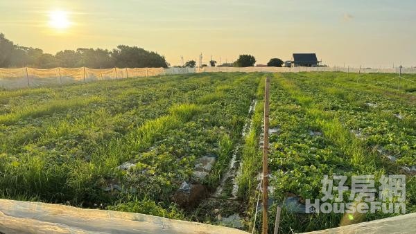 (綠860)新屋社子國小漂亮農地