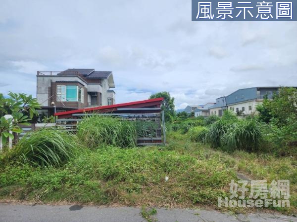 近羅東市區都計內491可配建農地