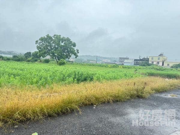 天后推薦新竹竹東中員段超美大農地~