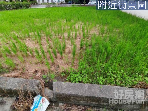 近美濃市區◆稀有小坪數.大面寬農地