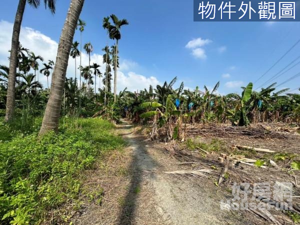 旗山近中興街便宜農地.有地下水.適合種植香蕉