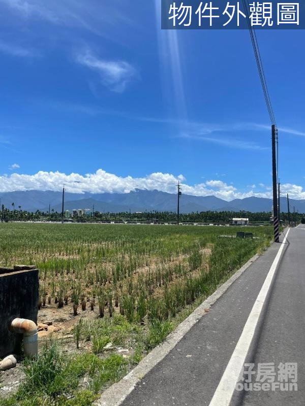 萬丹竹林雙面路農地