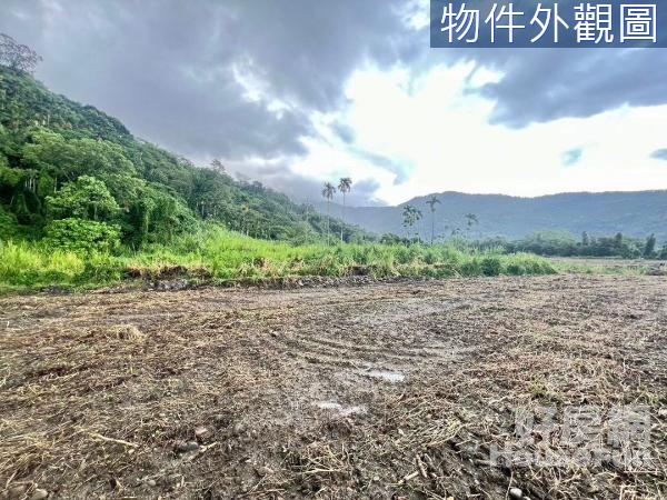 🌸花蓮瑞穗近部落稀有大平台農牧用地⛰️