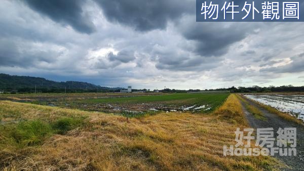 林內鄉林北村臨路農地