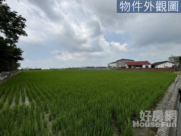 下營區 麻豆寮段 2.08分臨路方正美農地