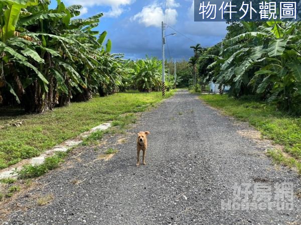 市區小坪數農地-近縣立棒球場運動及寵物公園