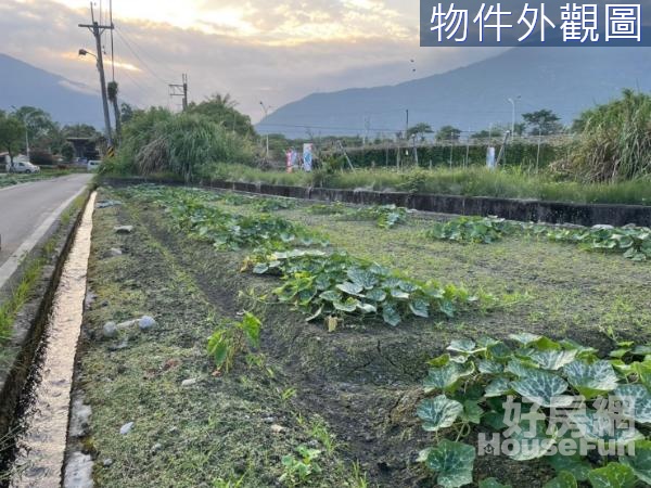 吉安干城台九線旁臨路小而美小筆農地