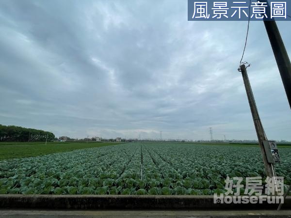 🌱親友專任｜雲林土庫開心農場｜低總價優質農地