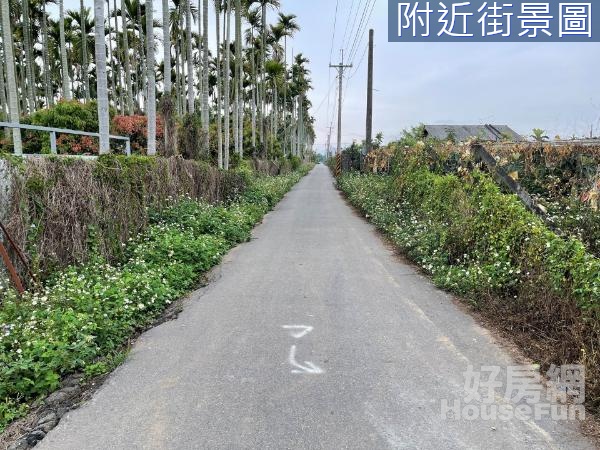 新社~花海雙面臨路檳榔園美農地 歡迎配件