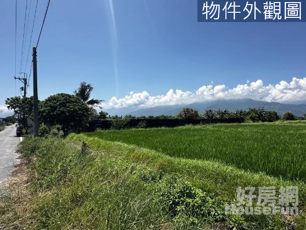 知本台東大學一甲農地