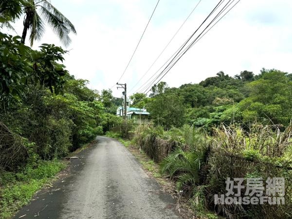 大社區鄰嘉誠平坦免填土一甲地可分割農地