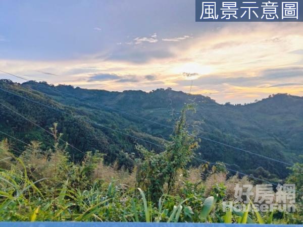 專任~泰安鄉清安段原住民保留地