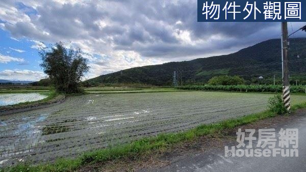 鳳林臨路土地方正都內農地近台九線交通方便