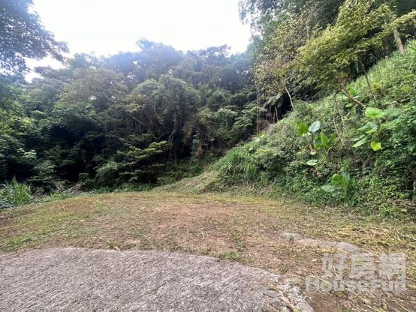 南庄東河-眺望綿延山景休閒農地