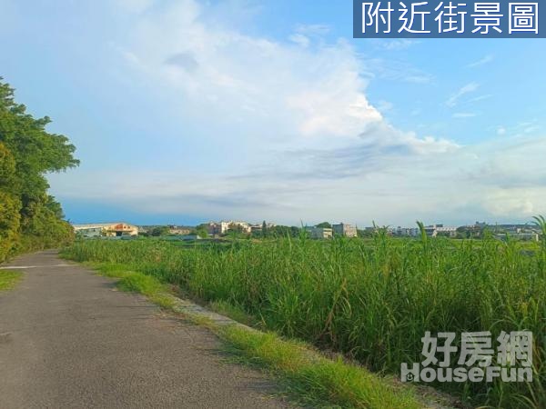 新豐有臨路大面寬農地