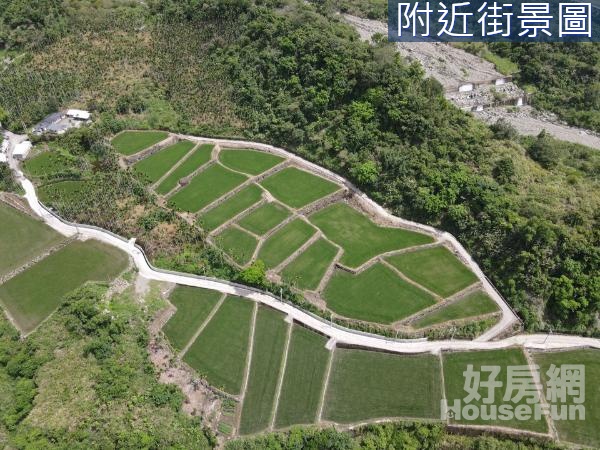 【專任】花蓮富里天然泉水灌溉水稻田25F087