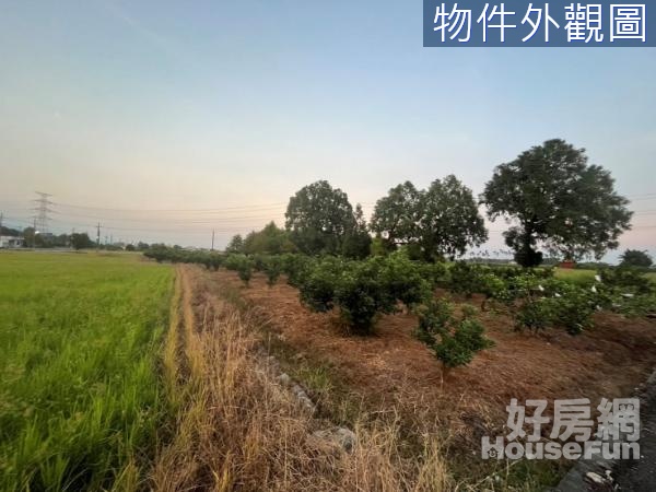 員山內城內湖段231坪老農夫資格用地